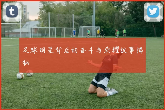 足球明星背后的奋斗与荣耀故事揭秘