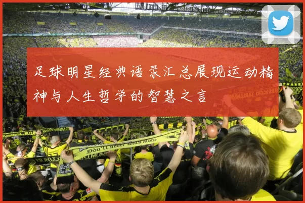 足球明星经典语录汇总展现运动精神与人生哲学的智慧之言